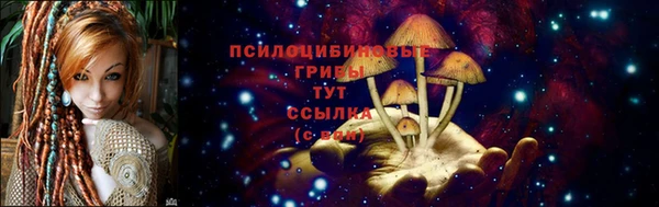 метадон Каменка