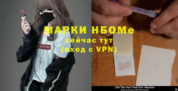 шишки Каменногорск