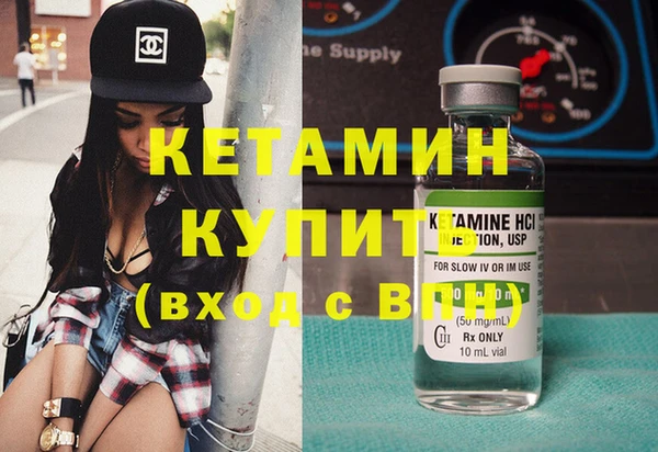 шишки Каменногорск