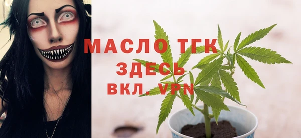 метадон Каменка