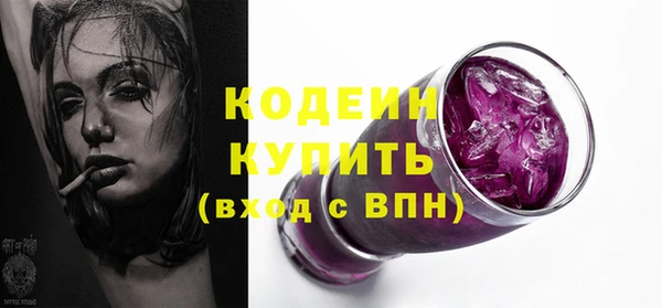 шишки Каменногорск