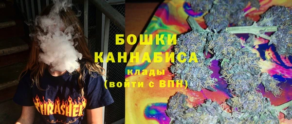шишки Каменногорск