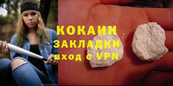 шишки Каменногорск