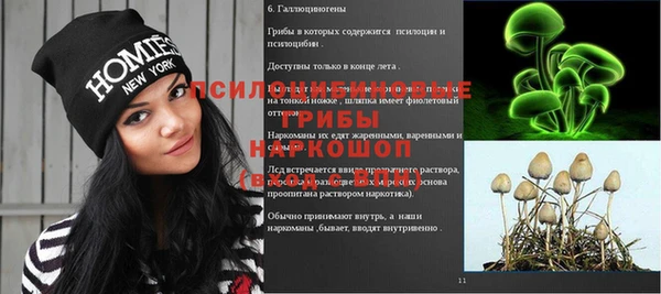 шишки Каменногорск