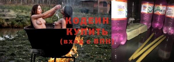 шишки Каменногорск