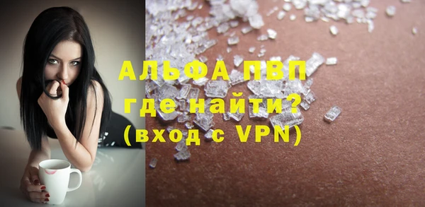 шишки Каменногорск