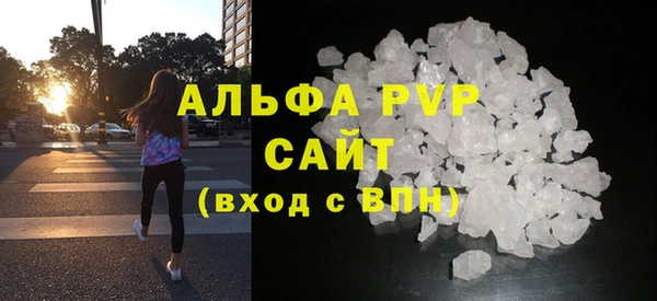 шишки Каменногорск