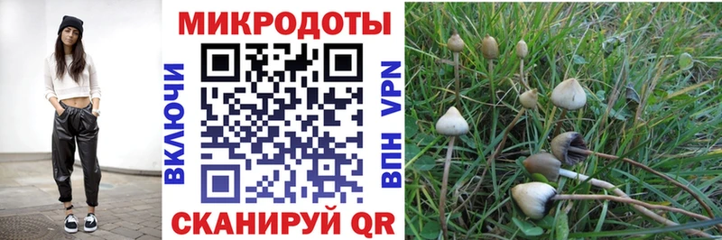 Псилоцибиновые грибы мицелий  Купить где  Бикин 
